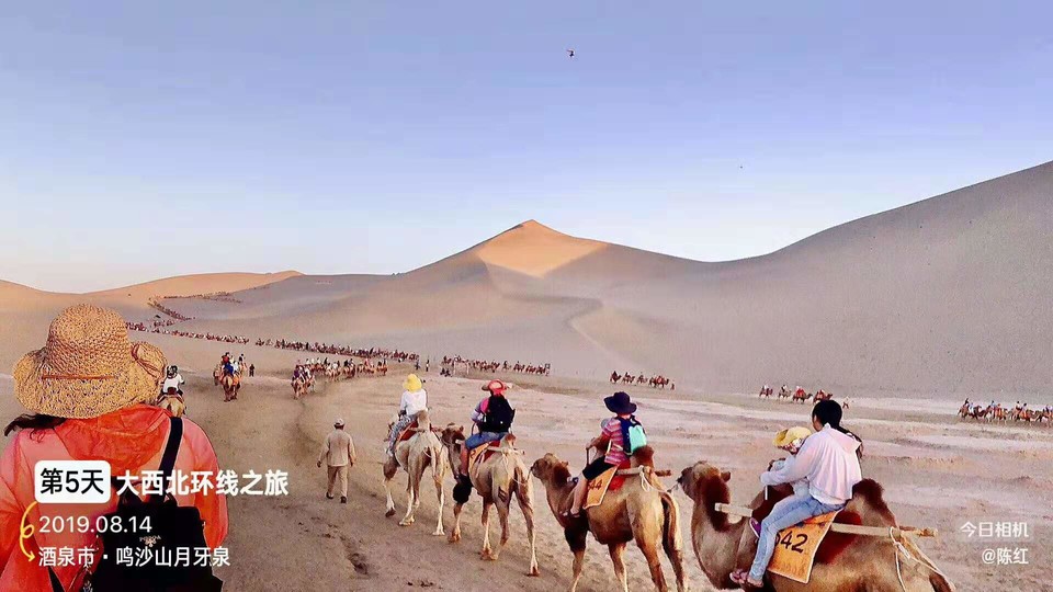 微信图片_2019082115292124