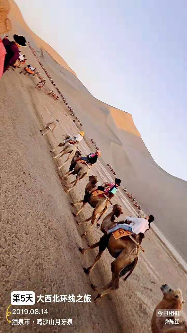 微信图片_2019082115292125