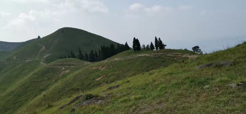 微信图片_201909161503265