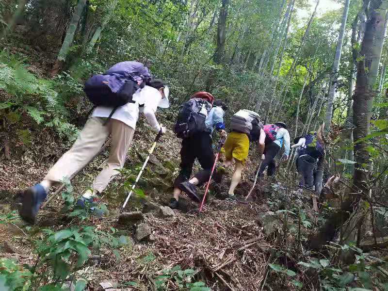 微信图片_201909161505305