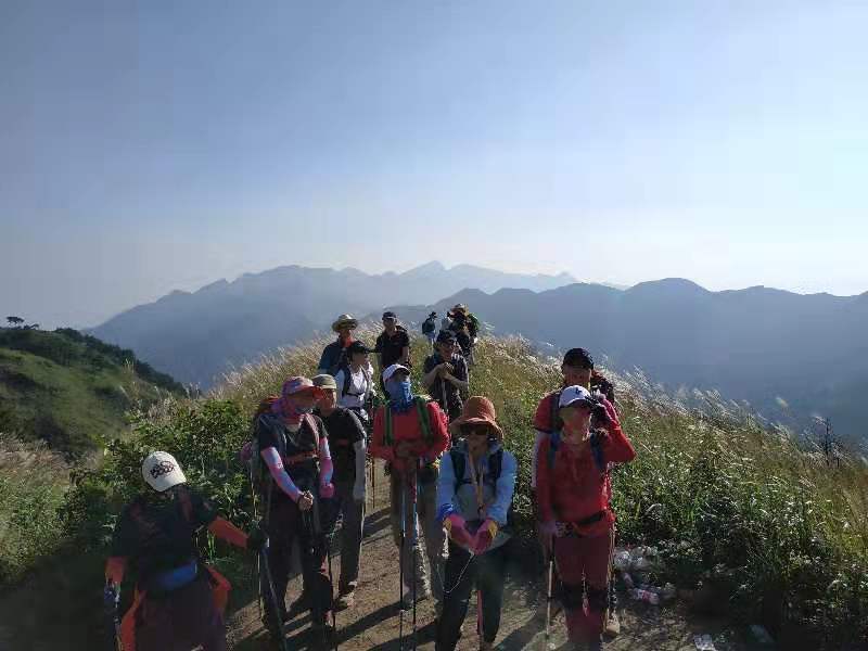 微信图片_201909161506593