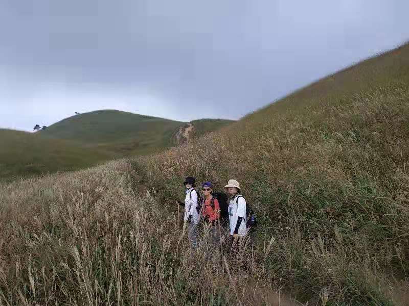 微信图片_201909161506594