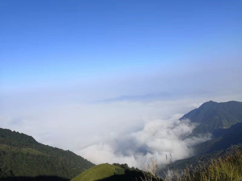 微信图片_201909161507523