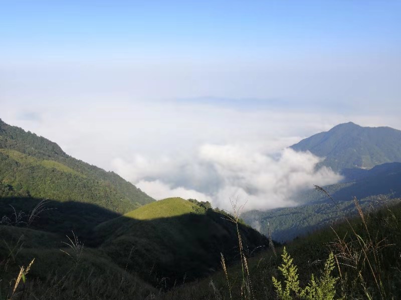 微信图片_201909161507525