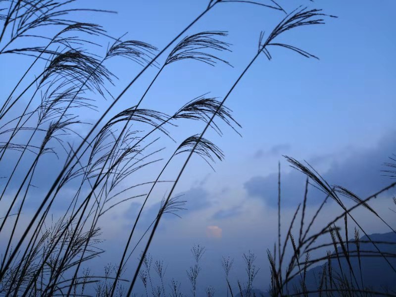 微信图片_201909161507526