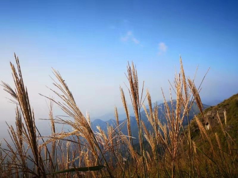 微信图片_201909161525351