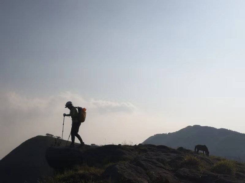 微信图片_201909161525354