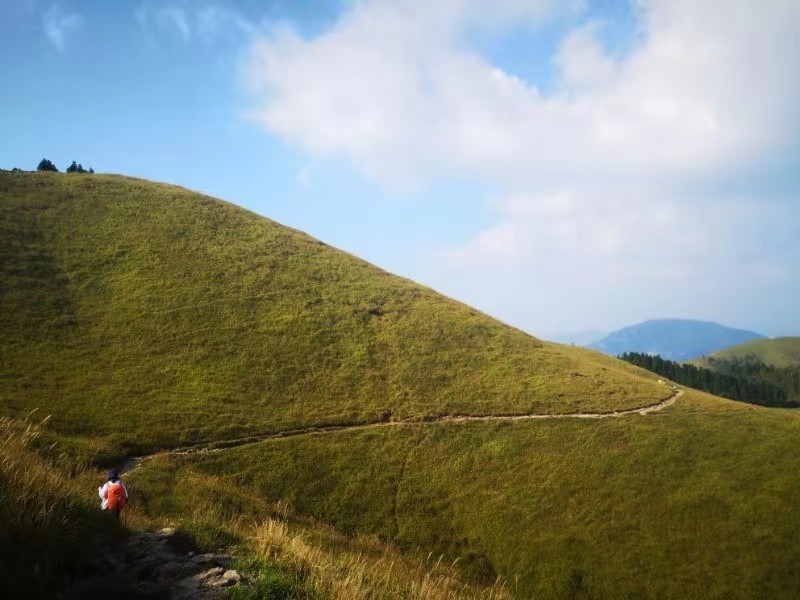 微信图片_201909161526237