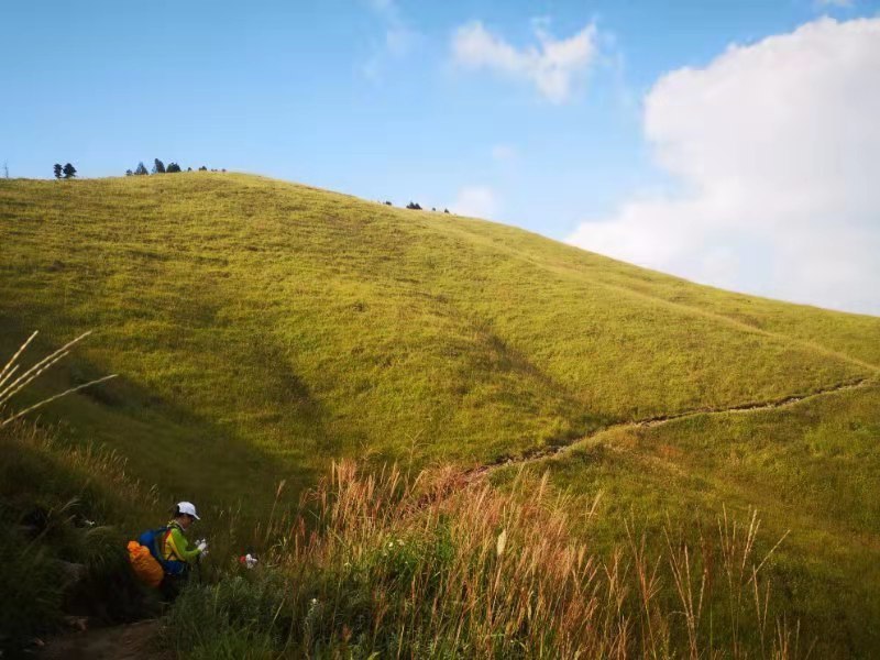 微信图片_201909161542401