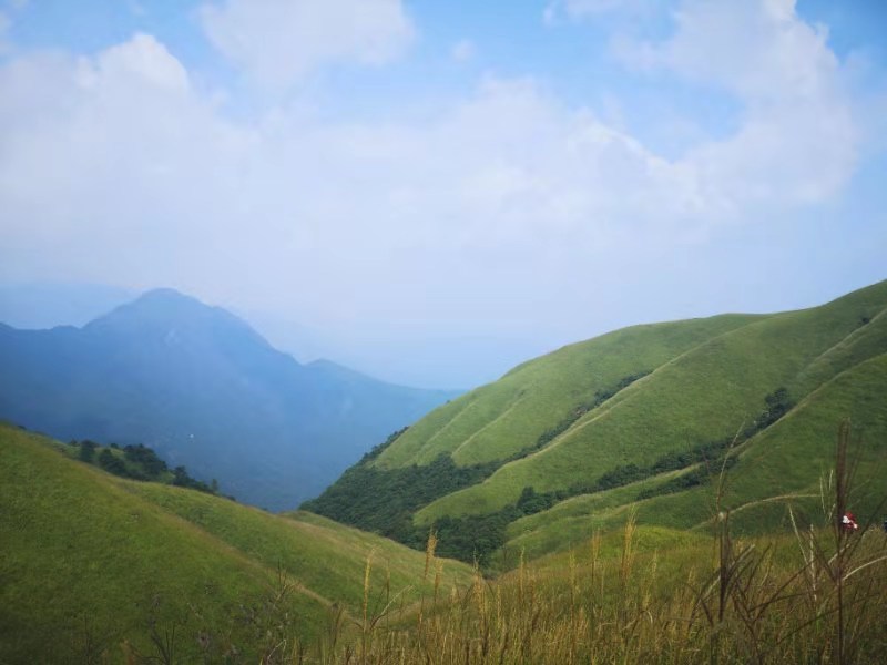 微信图片_201909161547251