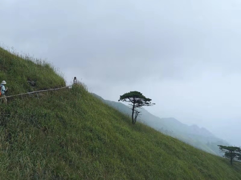 微信图片_201909161547253