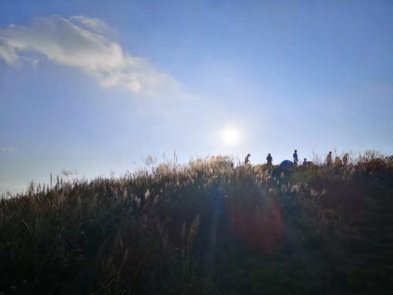 微信图片_201909161548061