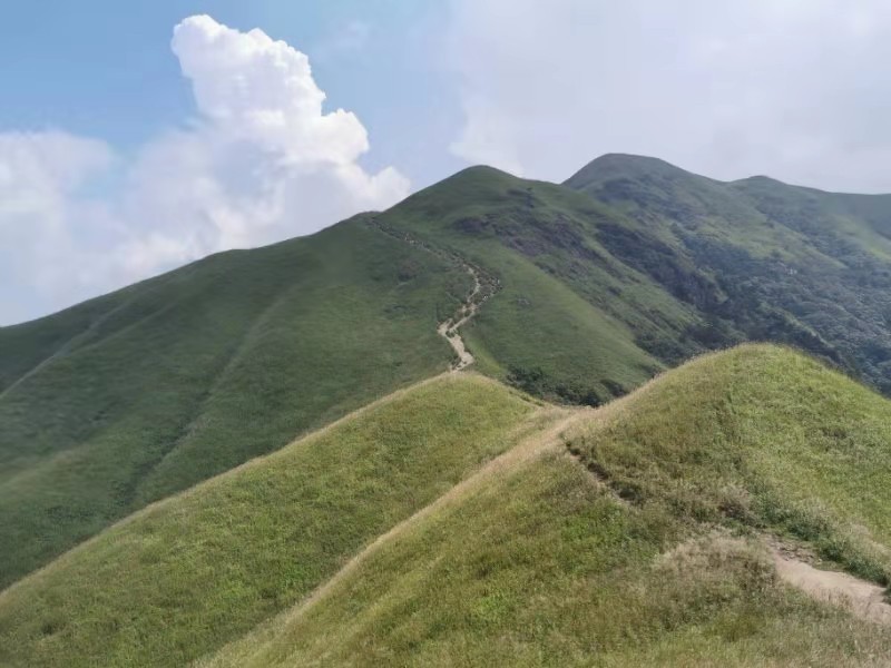 微信图片_201909161549103