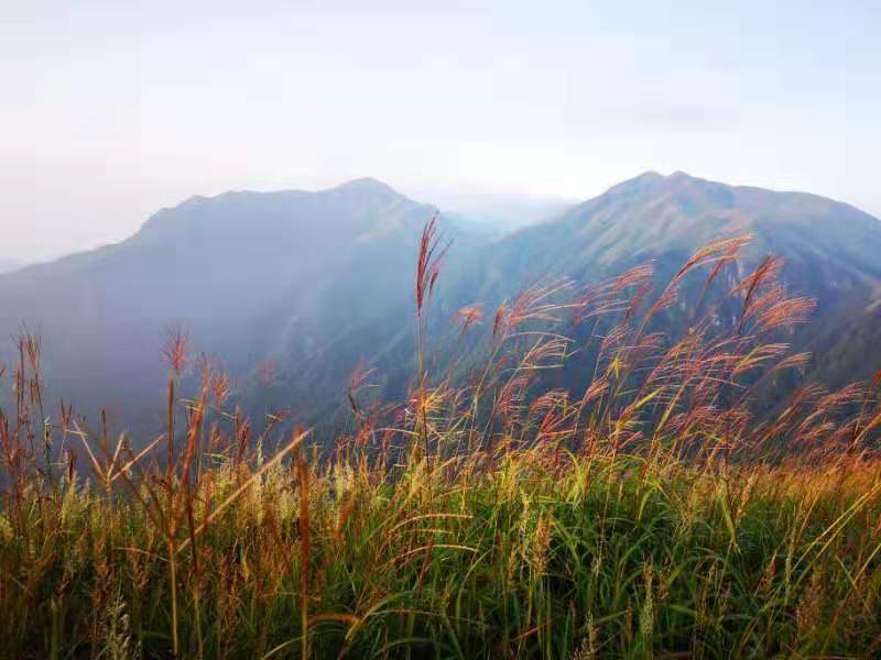 微信图片_201909161549104