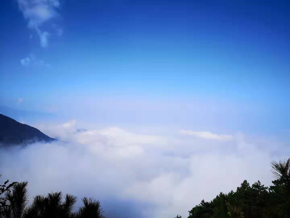 微信图片_201909161549105