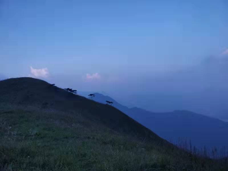 微信图片_201909161550423