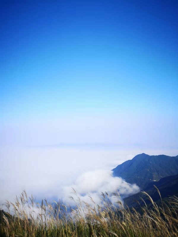 微信图片_201909161553022