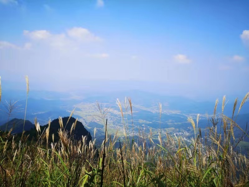 微信图片_201909161553025