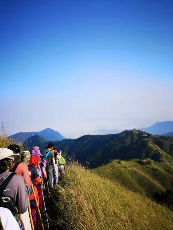 微信图片_201909161553027