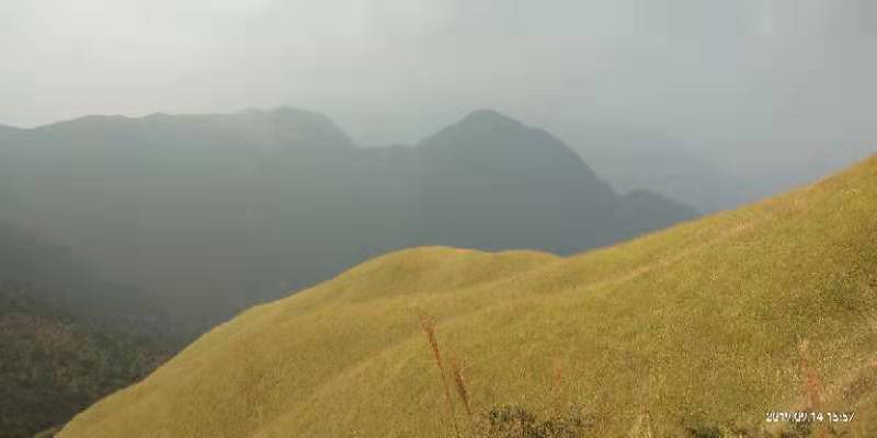 微信图片_201909161554341