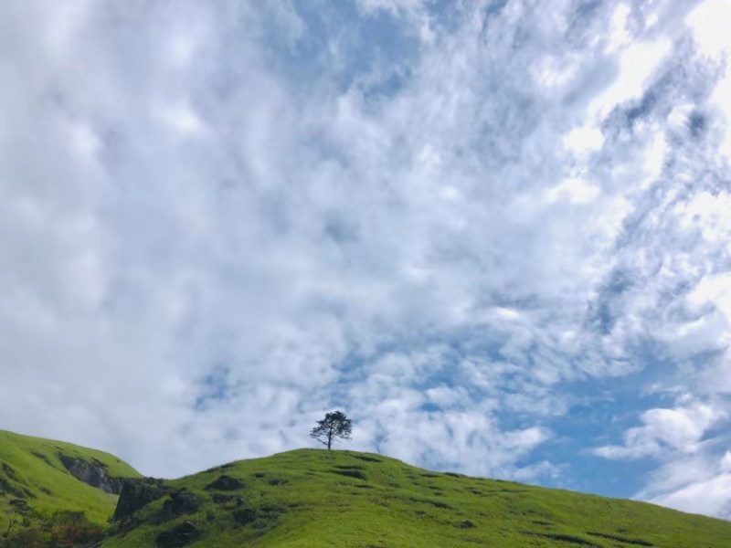 微信图片_201909161554346