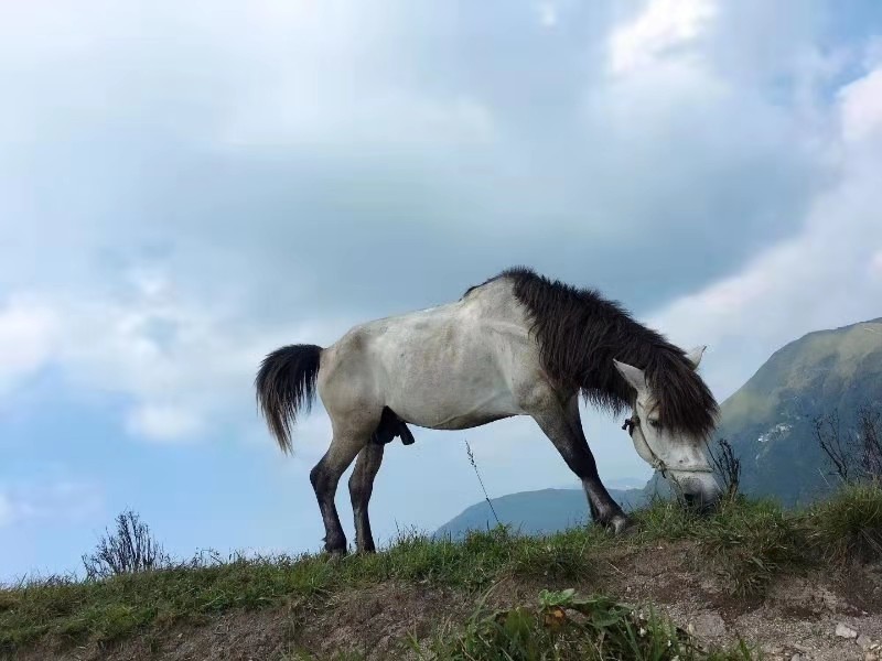 微信图片_201909161557063