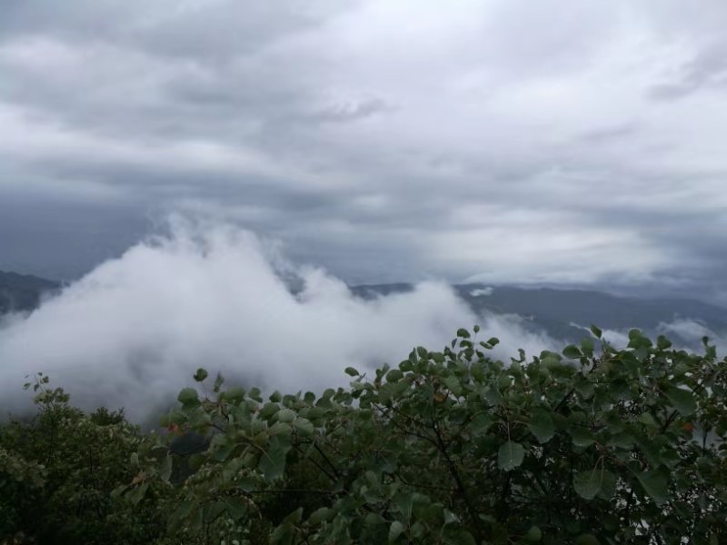 微信图片_20191008145824