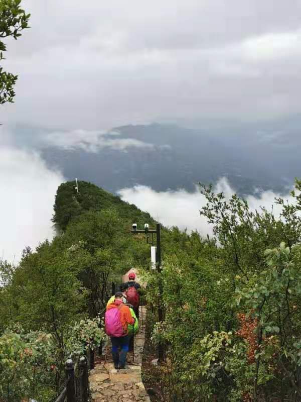 微信图片_20191008150053