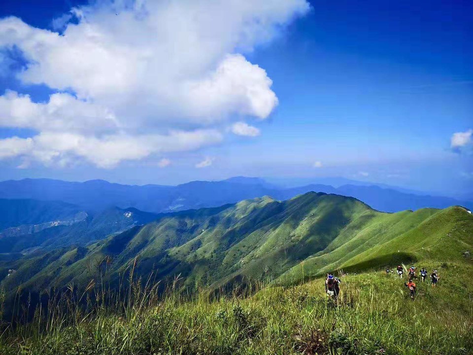 微信图片_201910081459386