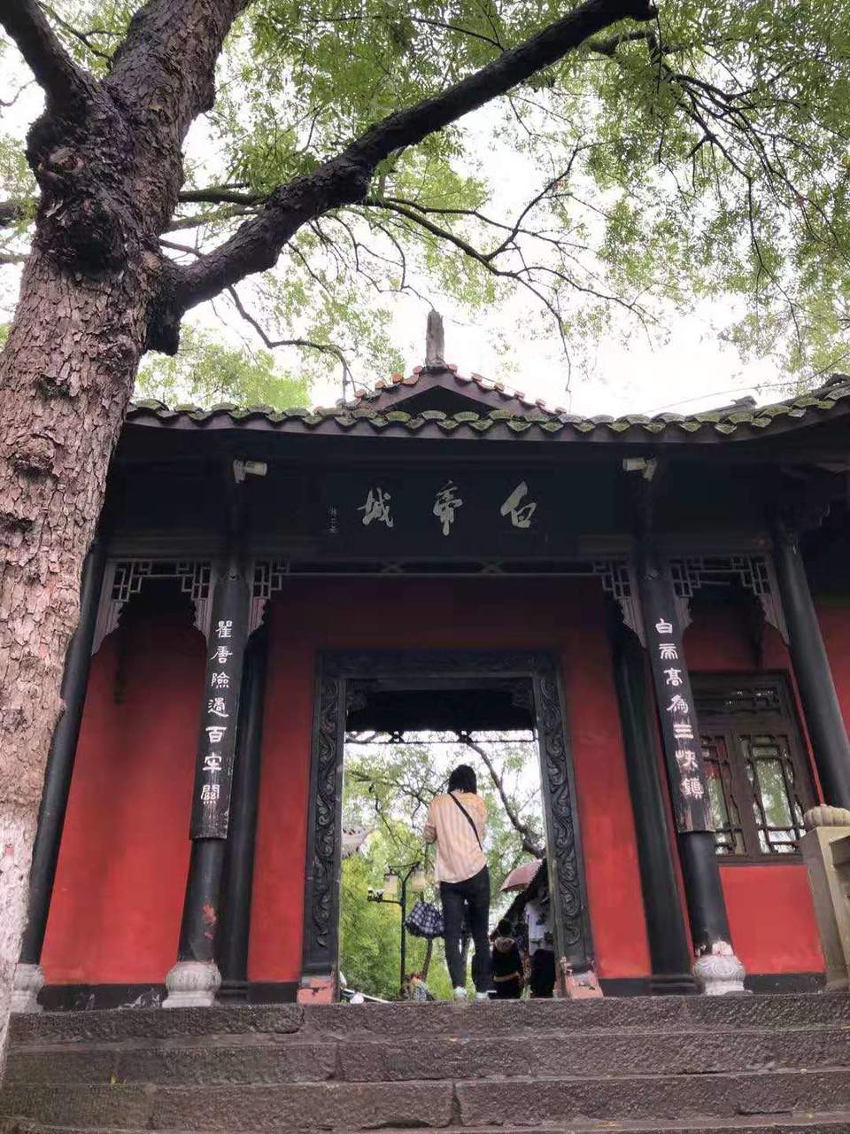 微信图片_201910081500533