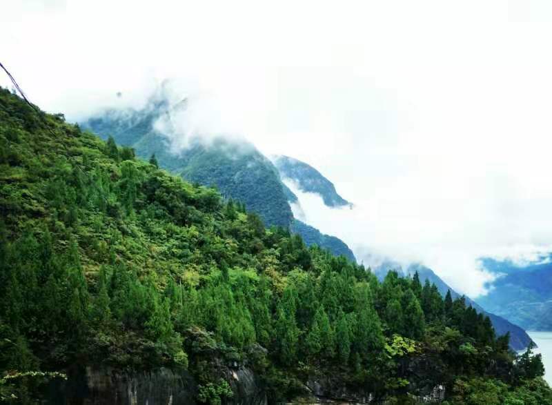 微信图片_201910081502372