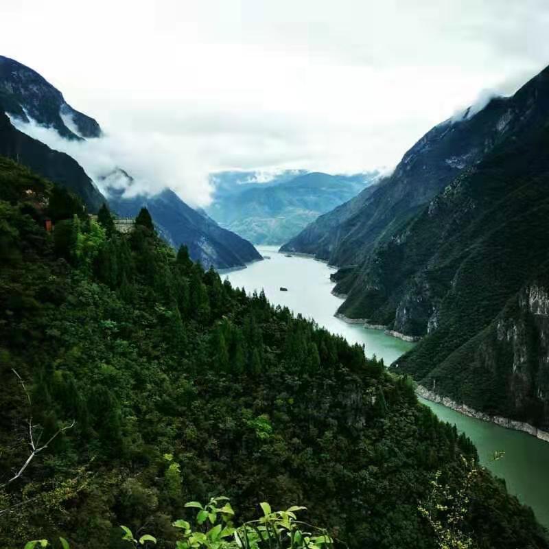 微信图片_201910081502373