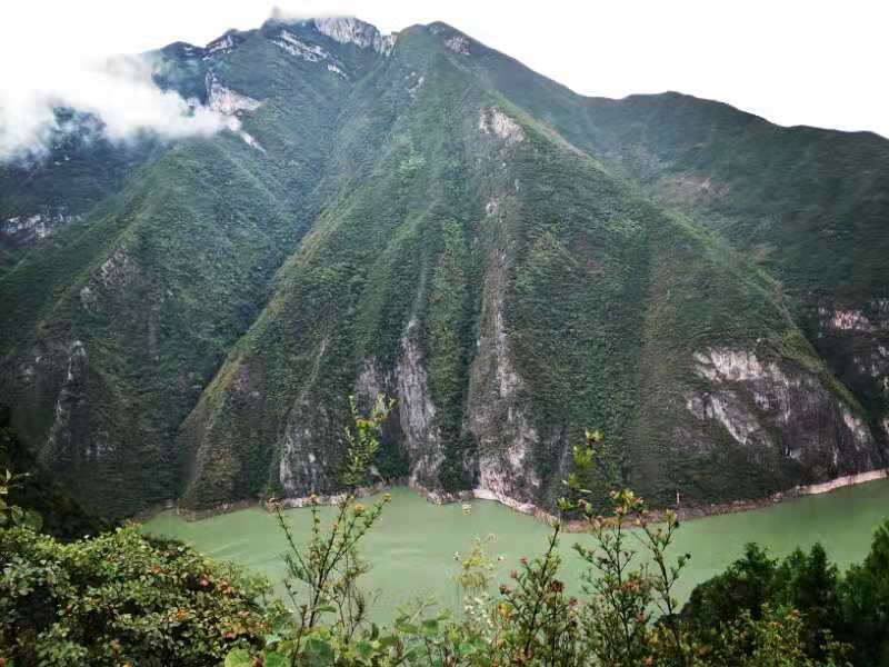 微信图片_201910081502374