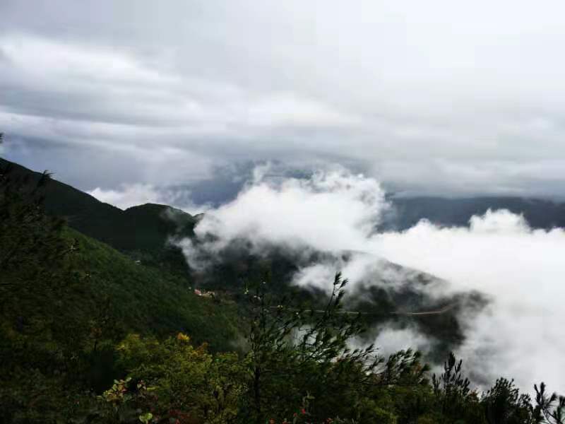 微信图片_201910081502375