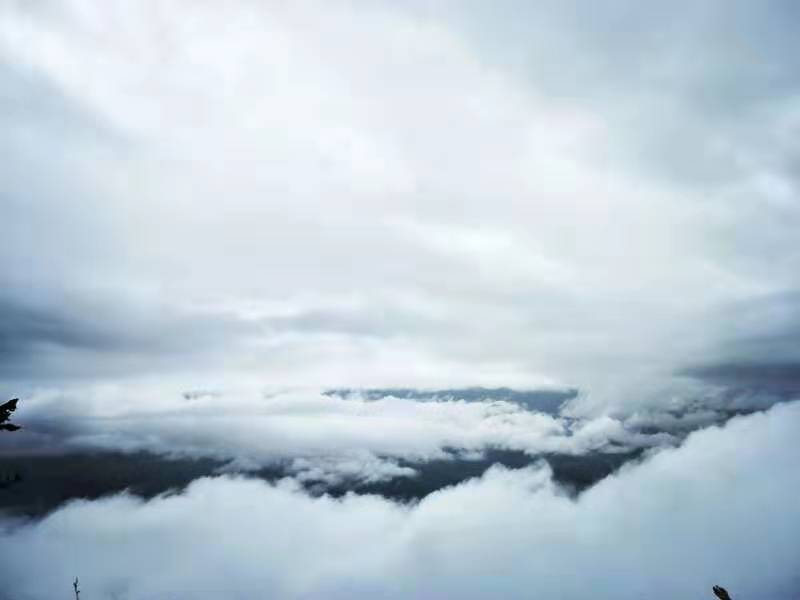 微信图片_201910081502376