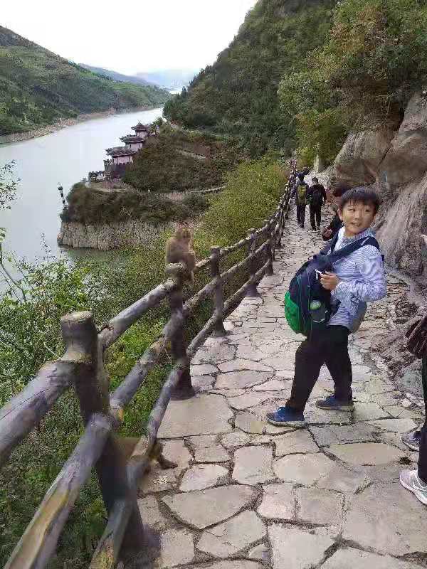 微信图片_201910081504315