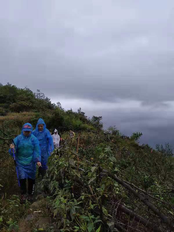 微信图片_201910081504317