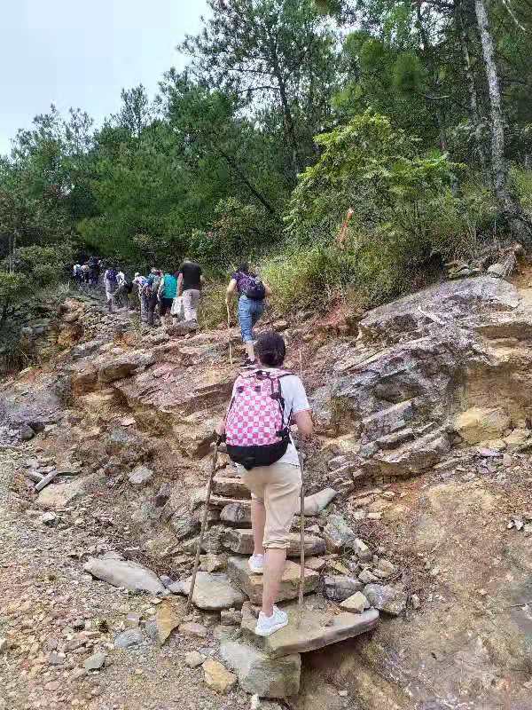 微信图片_201910081507151