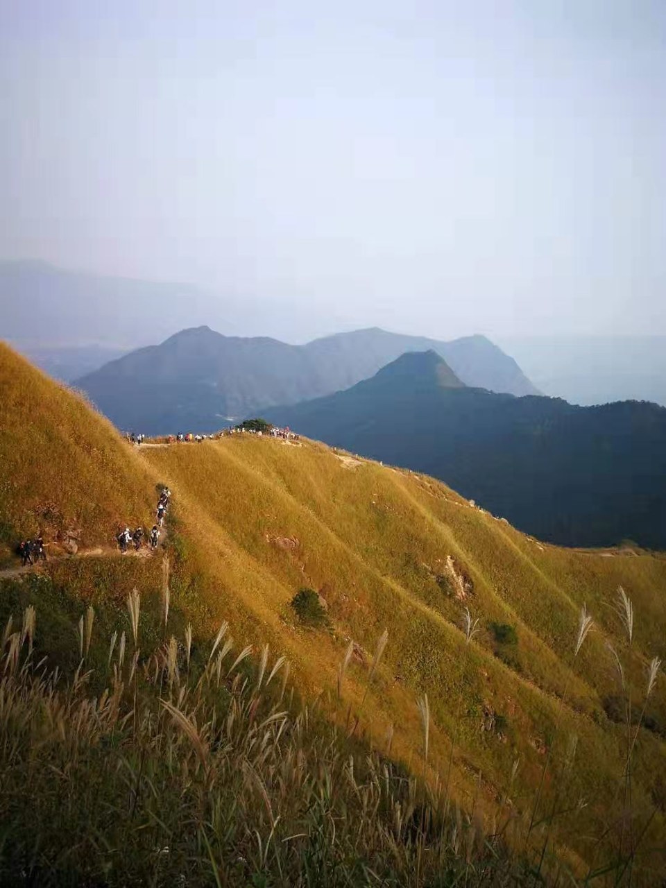 微信图片_20191008153442