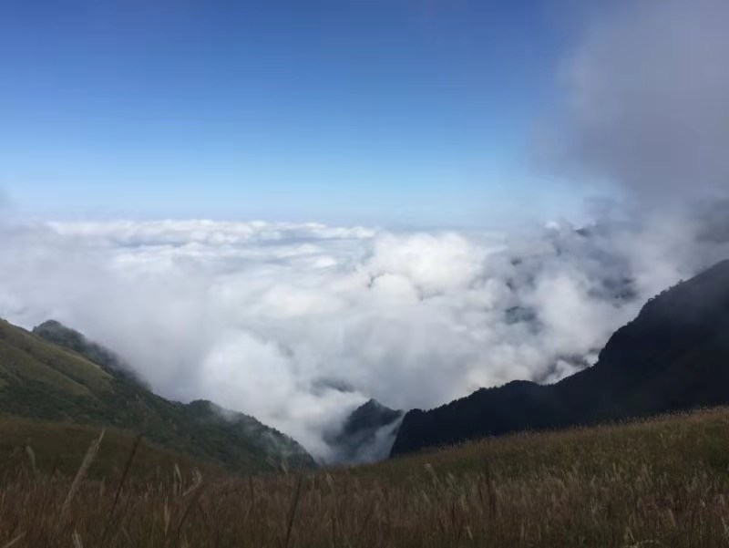 微信图片_20191008153902