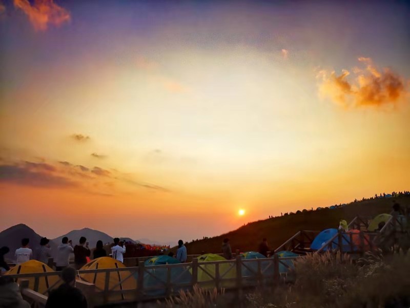 微信图片_201910081532502