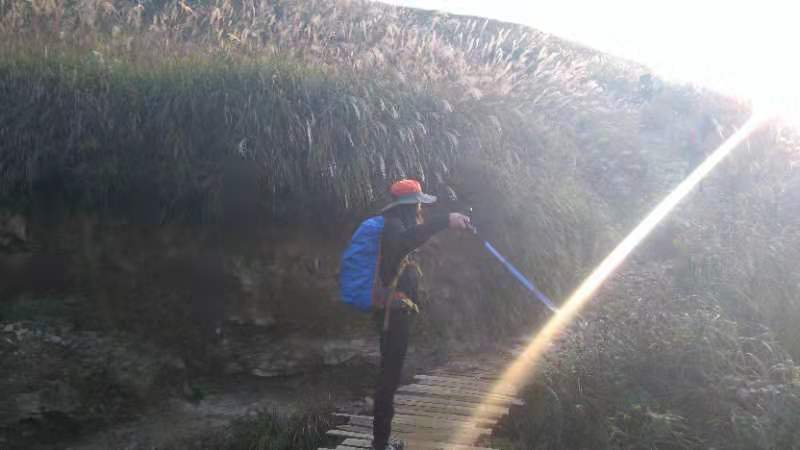 微信图片_201910081534425