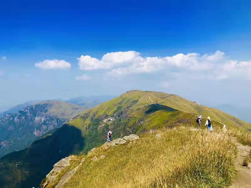 微信图片_201910081535201