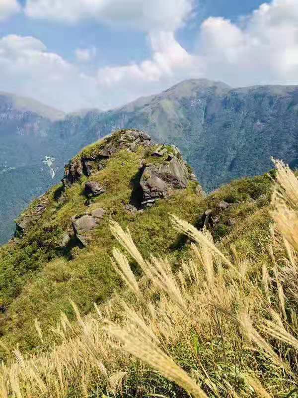 微信图片_201910081535202