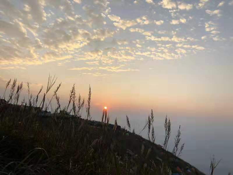 微信图片_201910081535204