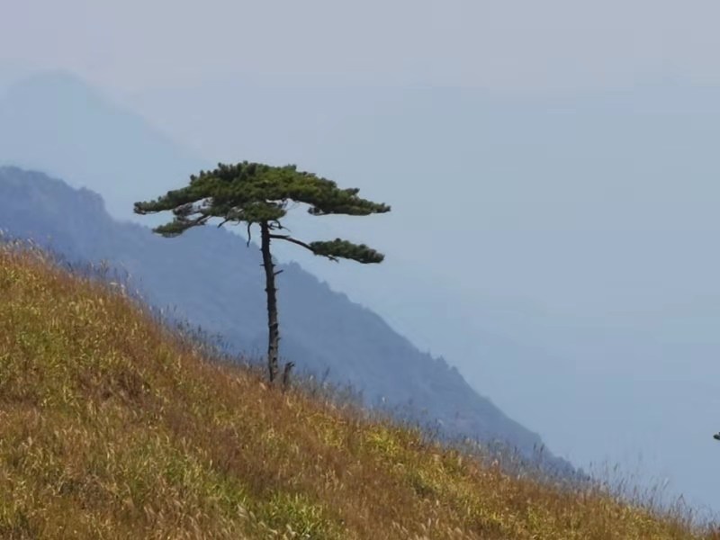 微信图片_201910081535207