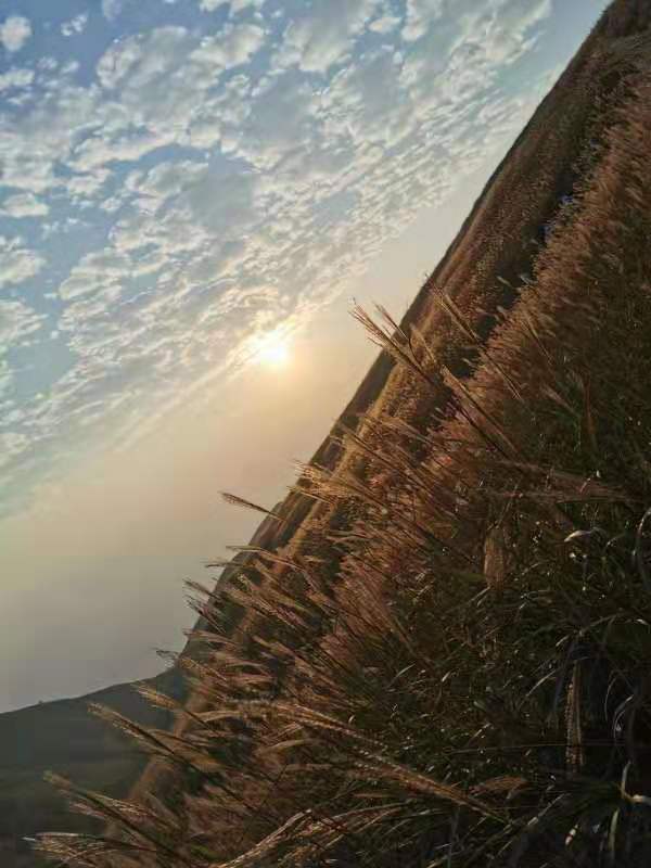 微信图片_201910081536021