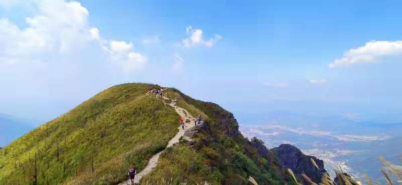 微信图片_201910081536023