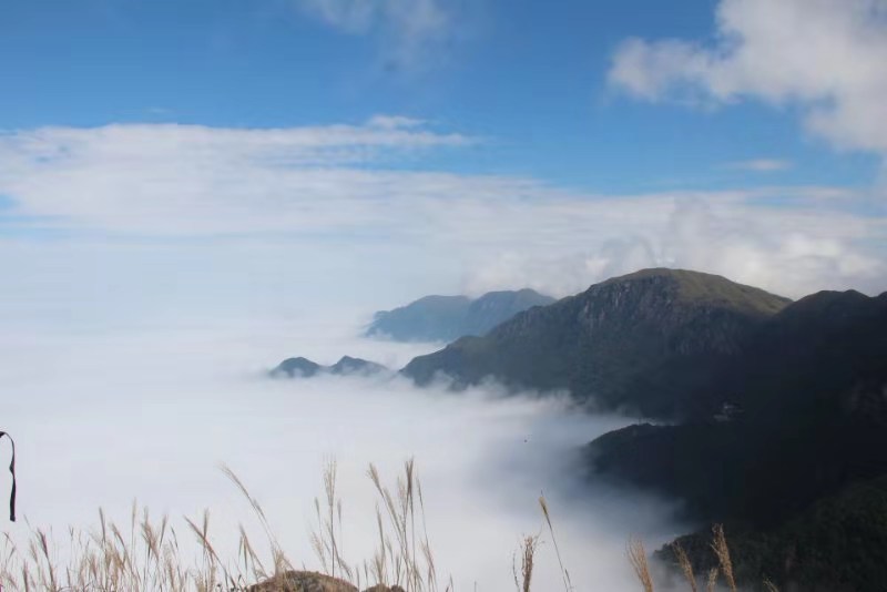 微信图片_201910081538094