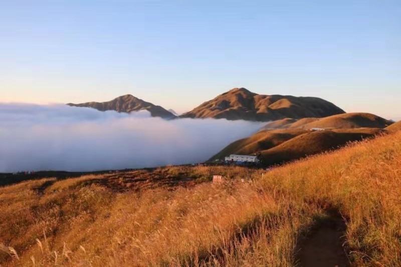 微信图片_201910081539025